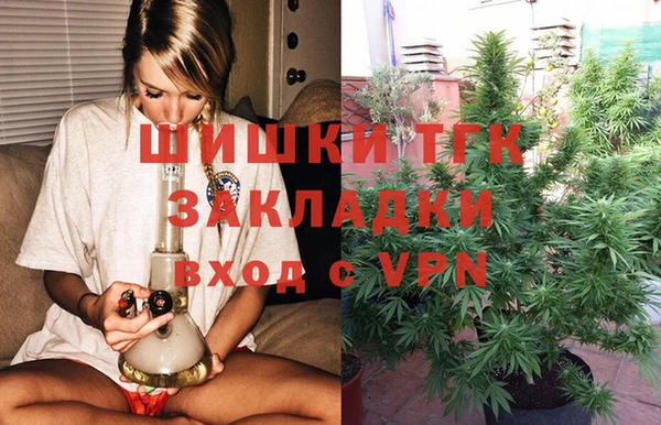 трава Коряжма