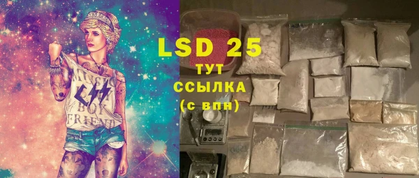 ГАЛЛЮЦИНОГЕННЫЕ ГРИБЫ Белая Холуница